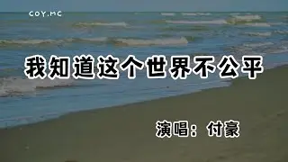 付豪 - 我知道這個世界不公平『夜深人靜窗外風景是燈火通明』（動態歌詞/Lyrics Video/無損音質/4k）