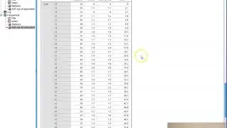 Copy and Paste SPSS Output