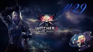 The Witcher 3: Дикая охота #29 на МАКСИМАЛЬНОЙ сложности) Бомбим лягуху и Олега фон Эверика)