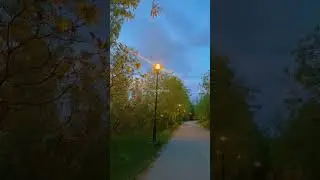 Nature sounds🕊️🍃 l #birdsounds #shorts