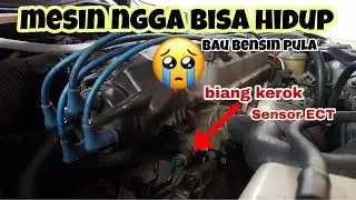 Kabel Socket ECT putus, mesin ferio tidak bisa hidup