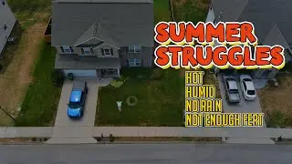 Stress, Disease, Recovery - Summer Tall Fescue