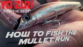 Fishing The Mullet Run: Yo-Zuri Mag Darter