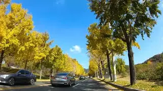 Autumn Drive in South Korea 4k atumn drive video || phalgongsan Mountain autumn Drive || 가을 단풍 드라이브