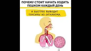 «Почему стоит ходить пешком каждый день». 