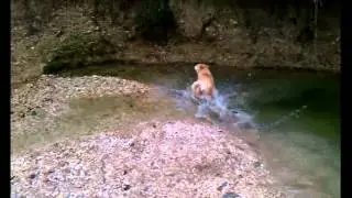 Wylie Getting Crazy in the Creek
