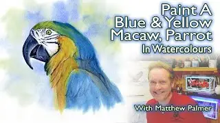 How To Paint A Parrot In Watercolours