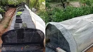 How to make protect plants