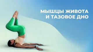 Тазовое дно