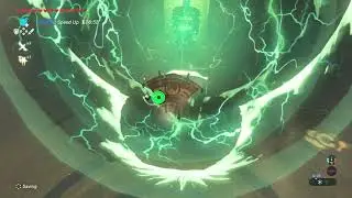 [NMG IL] Divine Beast Vah Naboris in 3:56.267 (WR)
