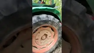 Abattage est débardage d'une grumes de chêne 