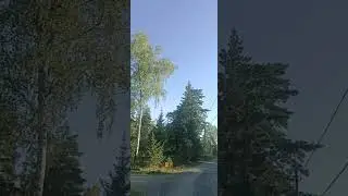 Анекдот про настоящих индейцев #топанекдотов #анекдоты #шутки #юмор
