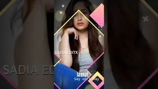 Dili ki larki Potrait Mood whatsapp status on trending by {Sadia Editx}