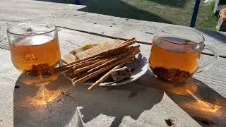 💥 Луганчане на Даче в Крыму,  Всем Доброе Утро ❤️ Луганск Крым Евпатория
