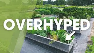 Are Raised Beds Worth it? Raised Beds vs. In-Ground Gardening
