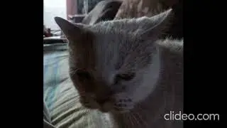 20230505 132622 wbTUSjO4