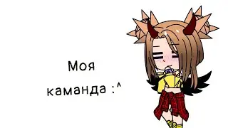 Моя новая команда :33