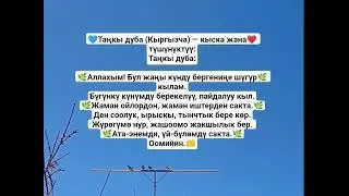 Дубалар топтому #дуба #дуолар #дуо #shorts #yasin #ясин #рекамендации #recipe #rek 