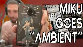 Tall Man Plays Ambient Guitar With Miku Stomp