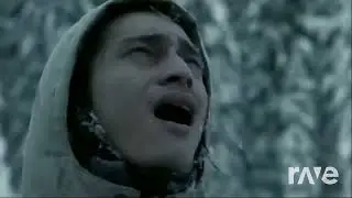 Волки тусят на Беговой 5