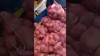 Бозори Уяли.02.01.2022