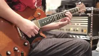 B.C. Rich Seagull / John Browne's phrases