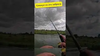 Клюнул со второго заброса на Малас  #fishing #рыбалка