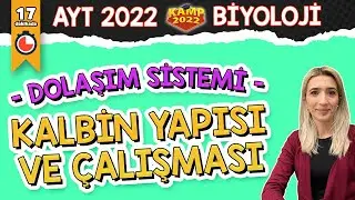 Kalbin Yapısı ve Çalışması | AYT Biyoloji 