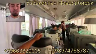 Tashkent Novosibirisk avtobus 2024