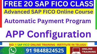 Automatic Payment Program in SAP FICO, APP Configuration &detailed explanation, SAP Support Project