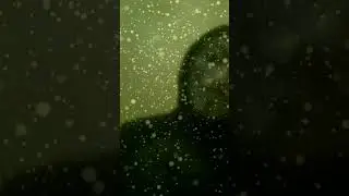 Знаешь, я тут подумал.. 