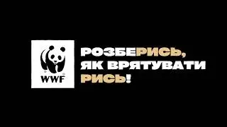 Кампанія до Міжнародного дня рисі - “Не барись врятувати рись!”