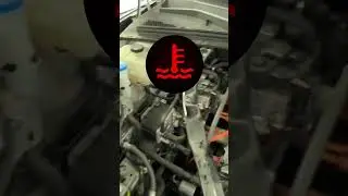 Byd Chempion Antifiris kamayishi diagnostica