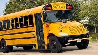 October - November 2023 School Bus Spotting Compilation