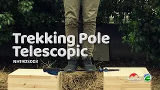 Trekking Pole Telescopic Naturehike (NH19DS003) | REVIEW