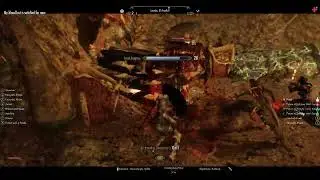 Skyrim Mimic