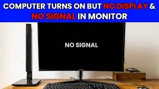 Computer Turns On But No Display & No Signal In Monitor