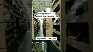 #вакансии