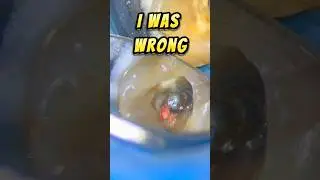 Post Removal
