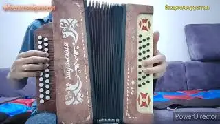 СУ БУЙЛАП - разбор на ГАРМОНИ ЦИФРАМИ 