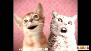 приколы ржака усячка засянка, жесть