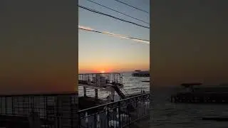 Сочи. Краснодарский край. Август 2024 год.