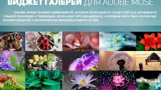 Галерея для Adobe Muse | Adobe Muse gallery