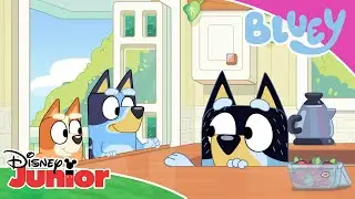 💙 Født i går | Bluey | Disney Junior Danmark