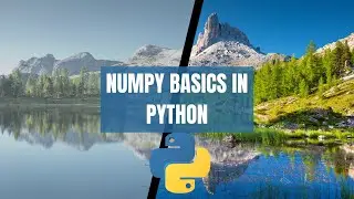 What is Numpy Basics in Python 
