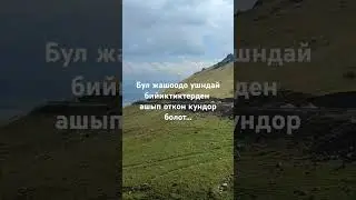 11 августа 2024 г.