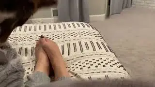 Puppy stealing my blanket