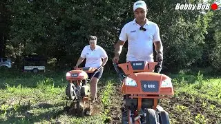 Fratii MC700 la porumbi