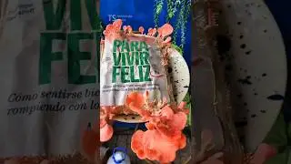 How to revive an old book