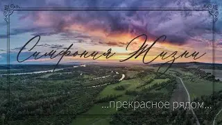 Симфония жизни. Прекрасное рядом... 4К